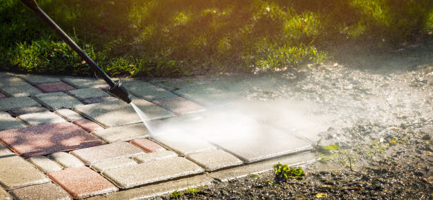 Best Solar Panel Cleaning  in Janesville, WI
